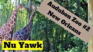 new orleans video tour audubon zoo 2