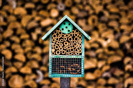 Mason Bees Diy Hive Bee House