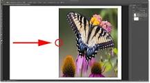 how-do-you-proportionally-resize-an-object-in-photoshop