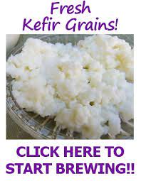 milk kefir recipe and tips how to