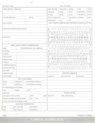 Dental Charting System Clinical Charting Forms Dental