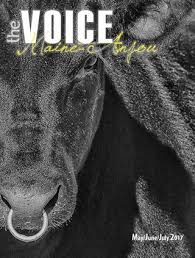 Voice May June July 2017 By Edje Issuu