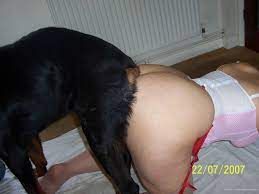Dog knotted in wife ❤️ Best adult photos at hentainudes.com