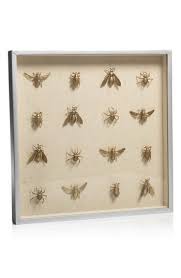 zodax gold insect shadow box art