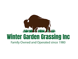 Winter Garden Grassing
