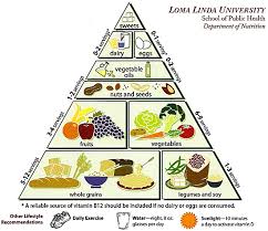 the vegetarian food pyramid planning