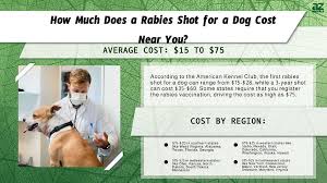 how much does a rabies shot for a dog