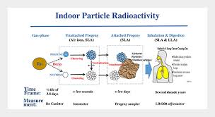 Indoor Particle Alpha Radioactivity