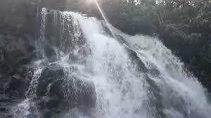 It's a beautiful place to visit throughout the year. Sirimane Waterfalls Travel To Nature Simple Veg Recipes Mbnewz