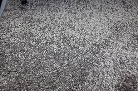 triexta stain resistant carpet