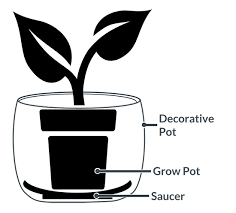 Our plastic plant pots come in two types: The Complete Guide To Planting Houseplants In Pots Planters Hortology