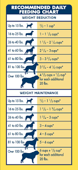 How Will Dog Food Comparison Chart 10 Be In The
