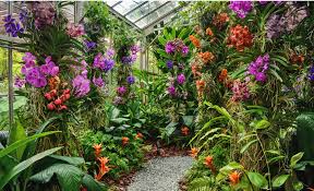 Sarasota Blog Enchanted Gardens
