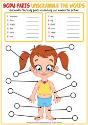 The worksheet is an assortment of 4 intriguing pursuits that will enhance your kid's knowledge and abilities. Body Parts Esl Vocabulary Worksheets