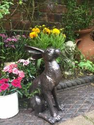 Alert Hare Rabbit Home Or Garden