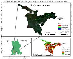 forest tree species diversity mapping
