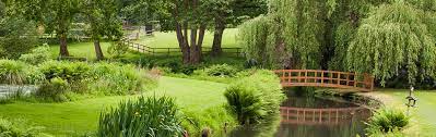 Bramshott Open Gardens The Jewels Of