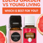 Edens Garden Vs Young Living Compared Side By Side