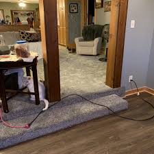 carpet cleaning in flint michigan