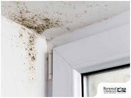 mold growth on window sills causes and