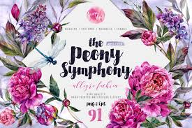 the peony symphony allegro fuchsia