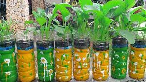 Lalu, siapkan sekam bakar dan nutrisi hidroponik. Agromedia Inilah Cara Menanam Sayuran Hidroponik Menggunakan Botol Bekas Air Mineral Agromedia