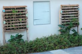 build a vertical garden using pallets