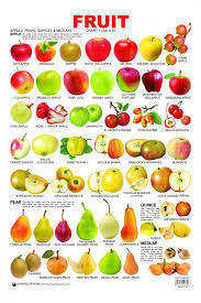 Educational Charts Series Fruit Chart 1