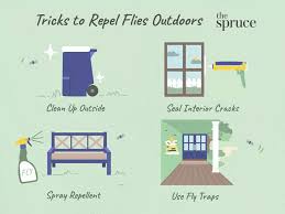 how to get rid flies outdoors