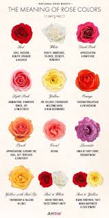Do You Know What Your Roses Mean This Chart Can Help