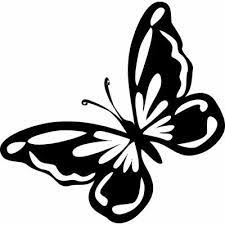 Amazing Stencils Butterfly Stencil