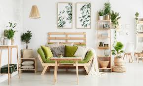 indoor hanging plants for your home