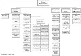Department Structure Family Medicine