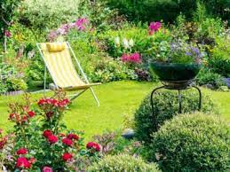 Best Perennials For Full Sun Gardens