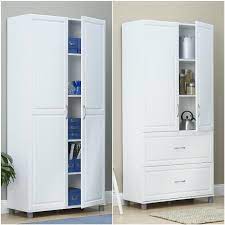 Attractive Storage Cabinets For Home