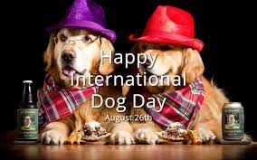 Learn more about your dog's daily schedule and what (and how) your dog thinks, sees and hears. International Dog Day Newdoggy Com