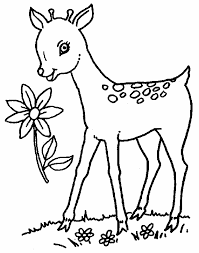 Select one of 1000 printable coloring pages of the category adult. Free Printable Deer Coloring Pages For Kids