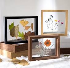 Floating Picture Frames Double Display