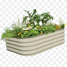 raisedbed gardening png images pngwing