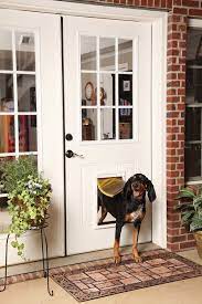 The Best Dog Doors Dog Door Dog