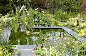 A Pond To Your Garden