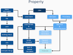 Property Management Chart Development Rental