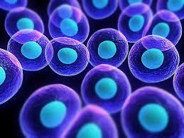 hd wallpaper purple and blue molecules