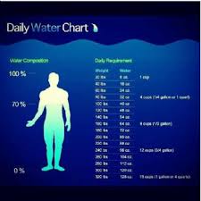 Daily Water Chart Really