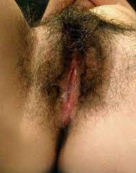Hairy vulva pics