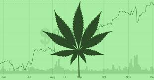 Marijuana Stocks Newsletter November 14 2019 Marijuana