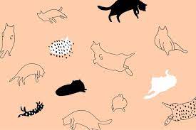 Cartoon Cat Desktop Wallpapers Top