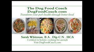 vet recommended homemade dog food you