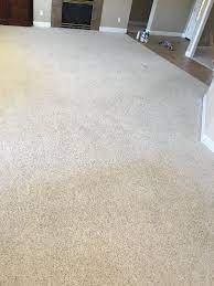 gallery bruce s carpet cleaning