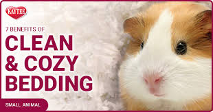 7 benefits of clean cozy pet bedding